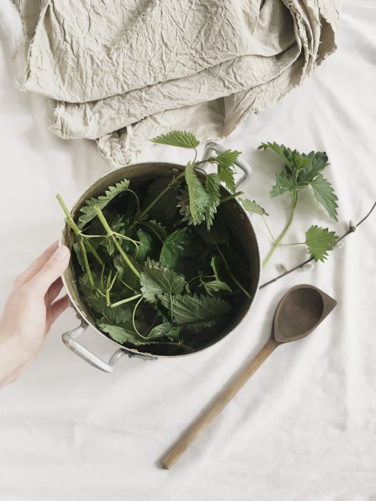 A Beginner’s Guide To Natural Plant Dyeing ETHICAL UNICORN